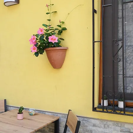 Apartmán Alta Costa *